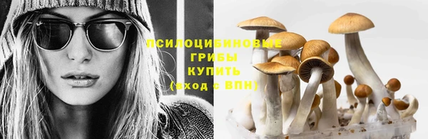 индика Балабаново