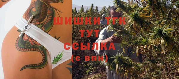 индика Балабаново