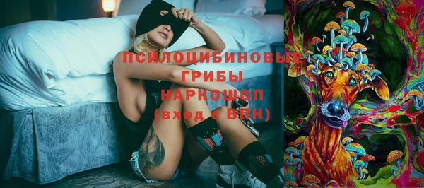 прущая мука Заполярный