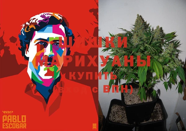 индика Балабаново