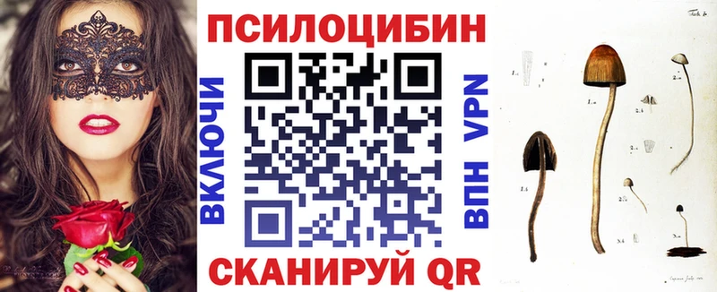 где продают   mega онион  Псилоцибиновые грибы Psilocybe  Спас-Деменск 